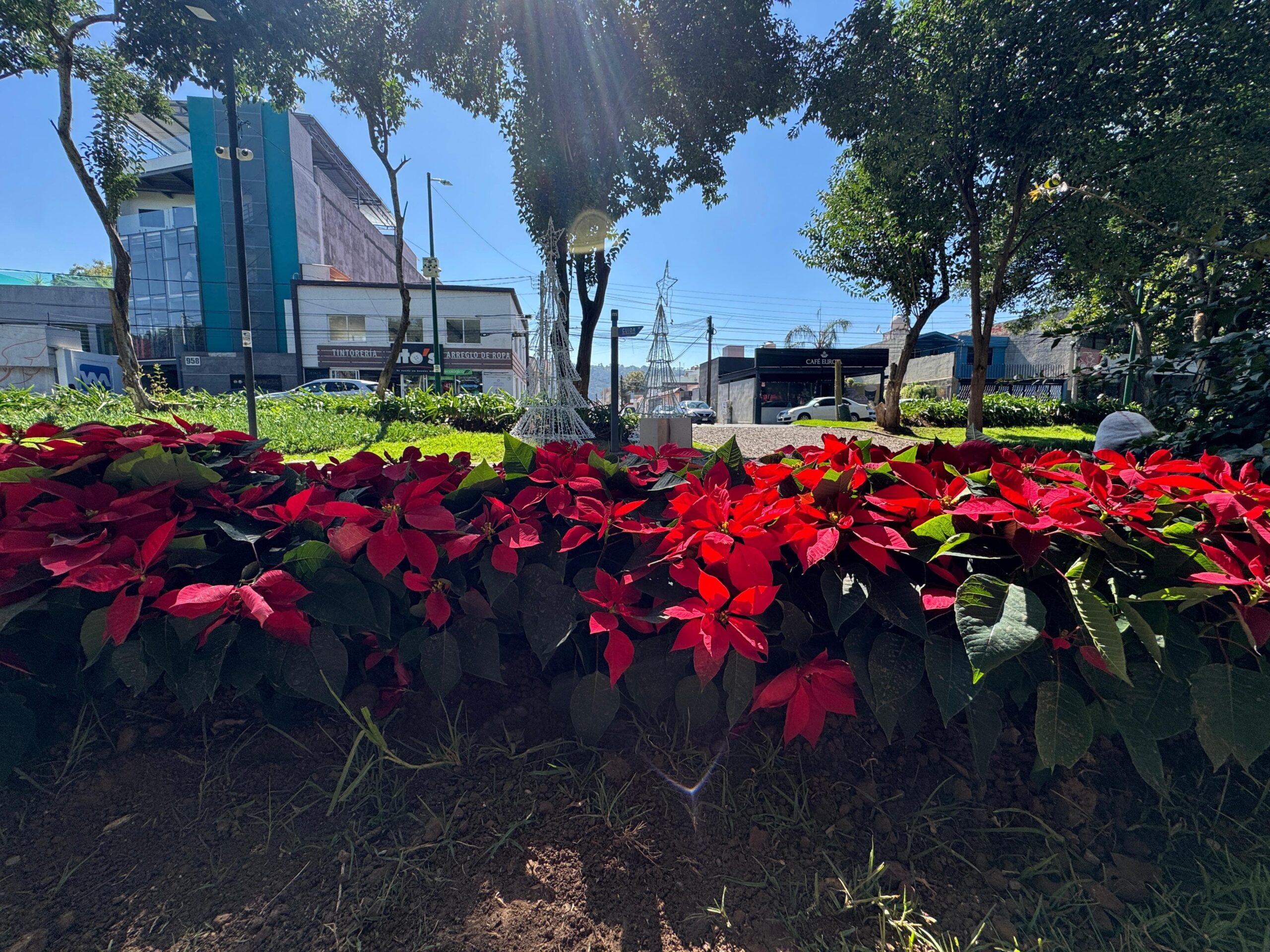 WhatsApp Image 2024-11-29 at 4.00.06 PM (1)