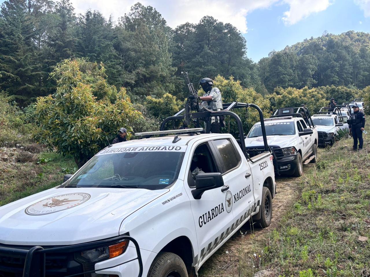 WhatsApp Image 2025-02-10 at 8.17.34 PM