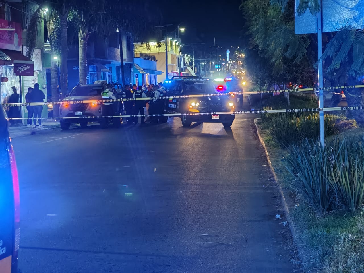 WhatsApp Image 2025-03-11 at 10.08.41 PM