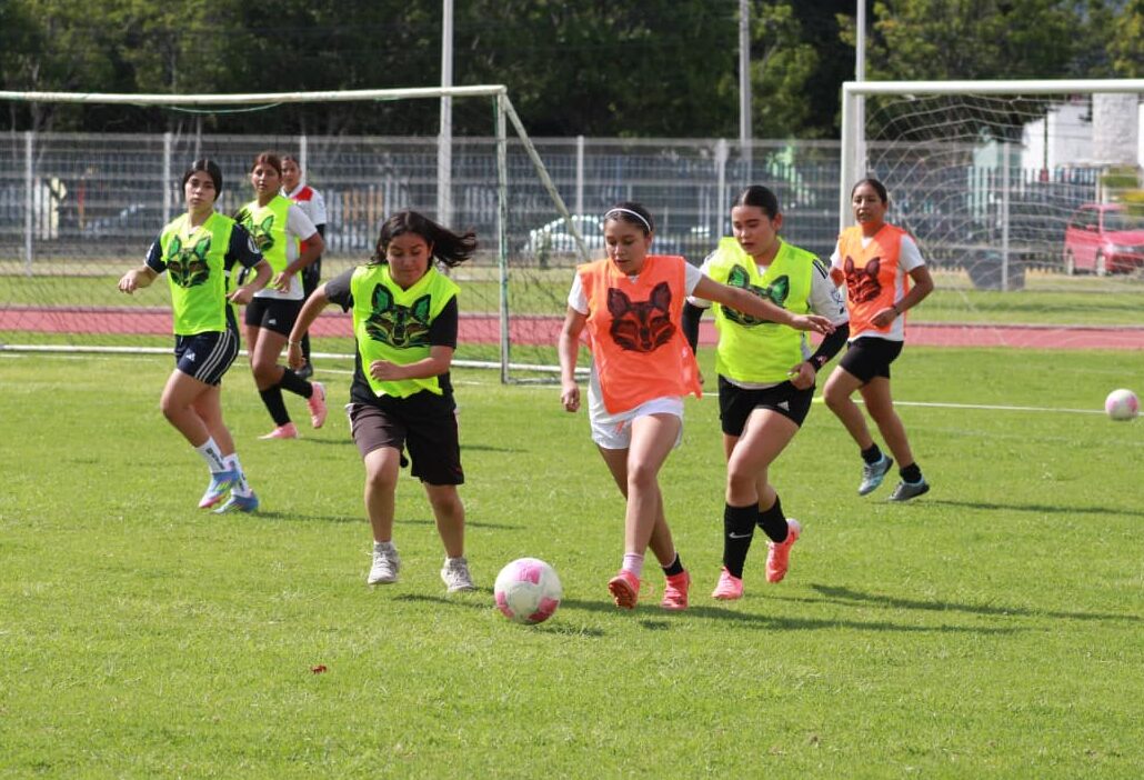 equipo femenil UMSNH