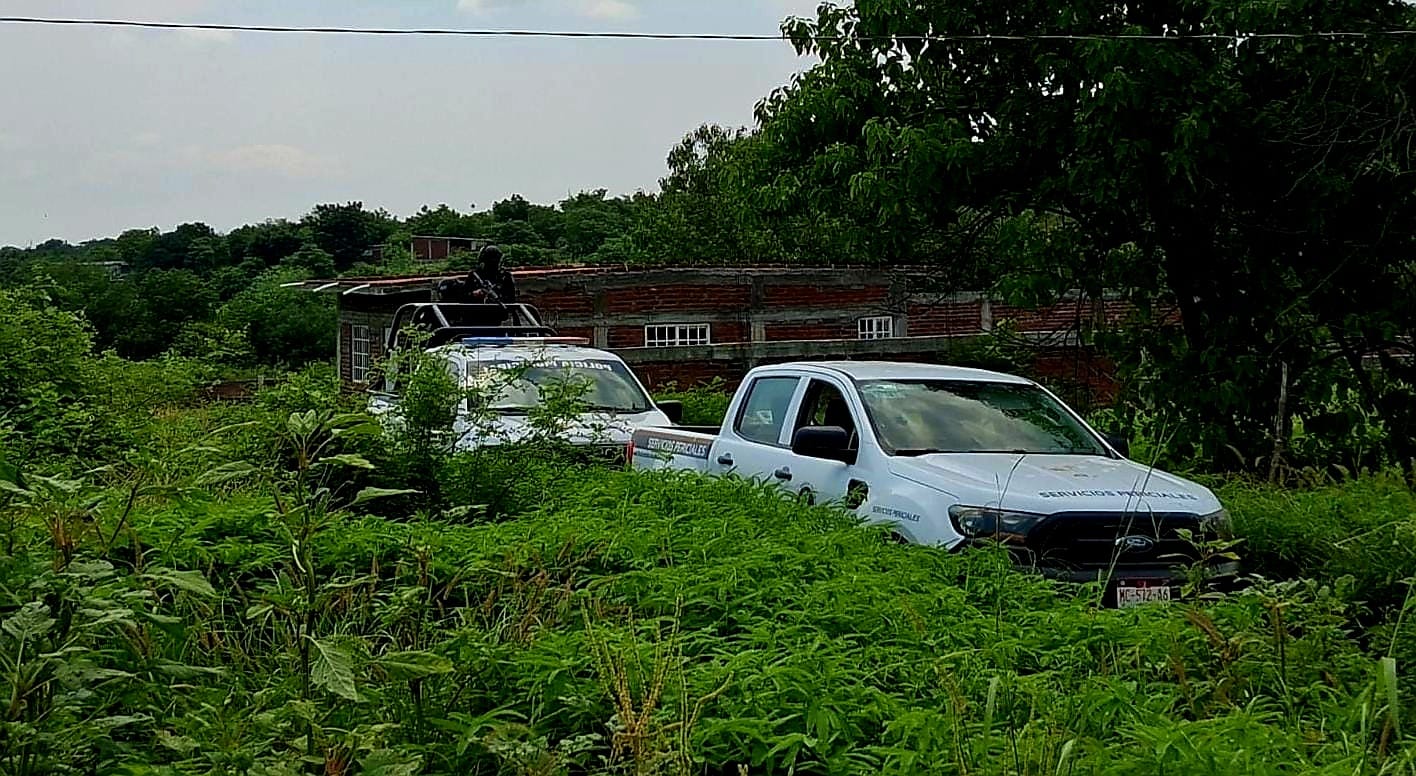 WhatsApp Image 2025-08-12 at 4.19.31 PM