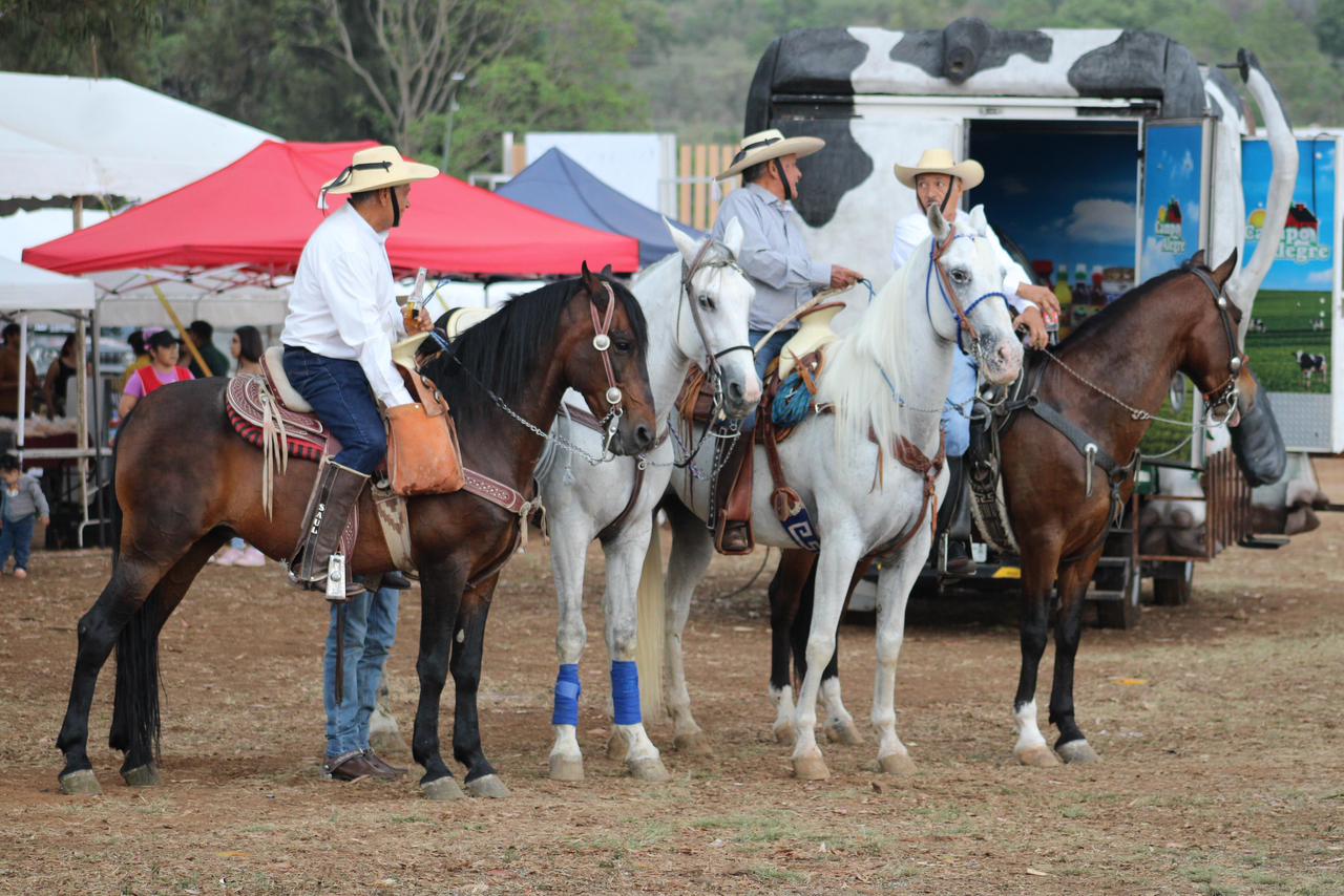 Agro