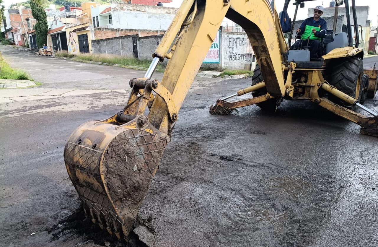 bacheo
