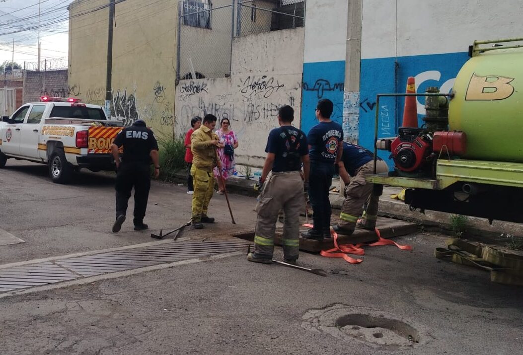 rescate de pollos